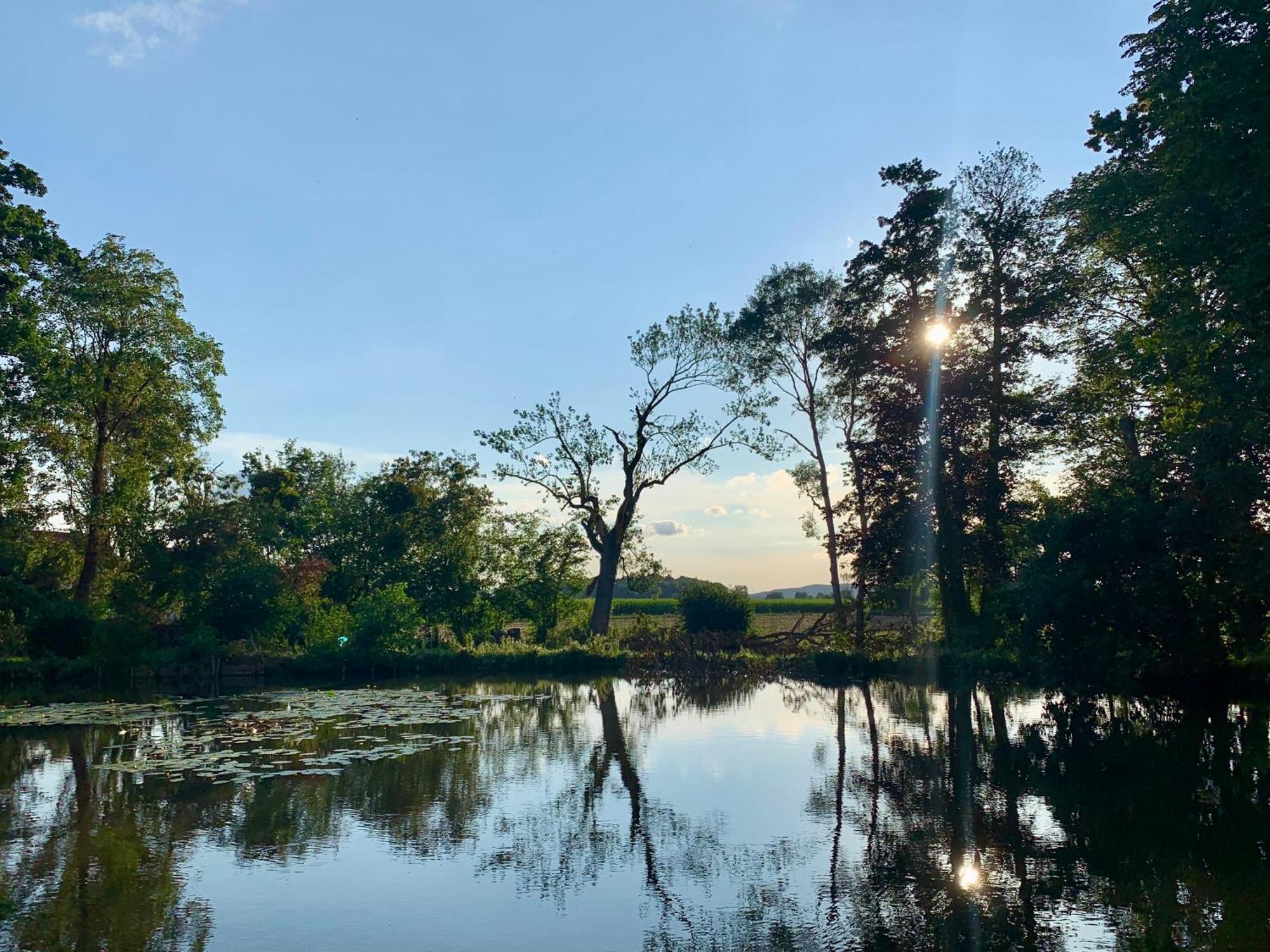 Wohnen Im Wasserschloss Sandizell Schrobenhausen Kültér fotó